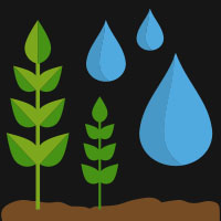 Wet crops icon