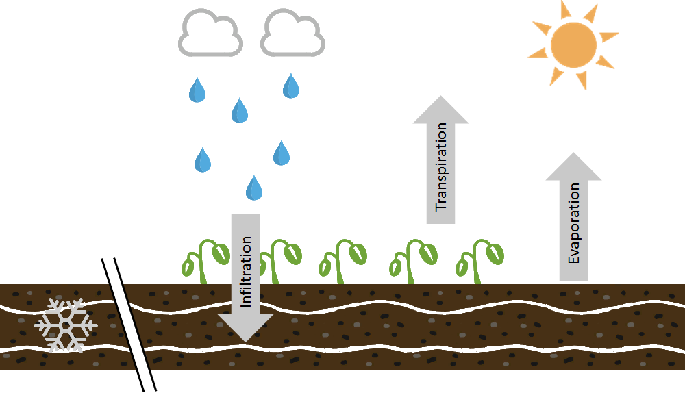 Soil moisture model