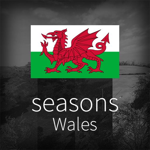 GEO: Wales icon