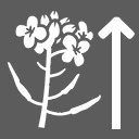 An icon depicting a crop with an upwards arrow