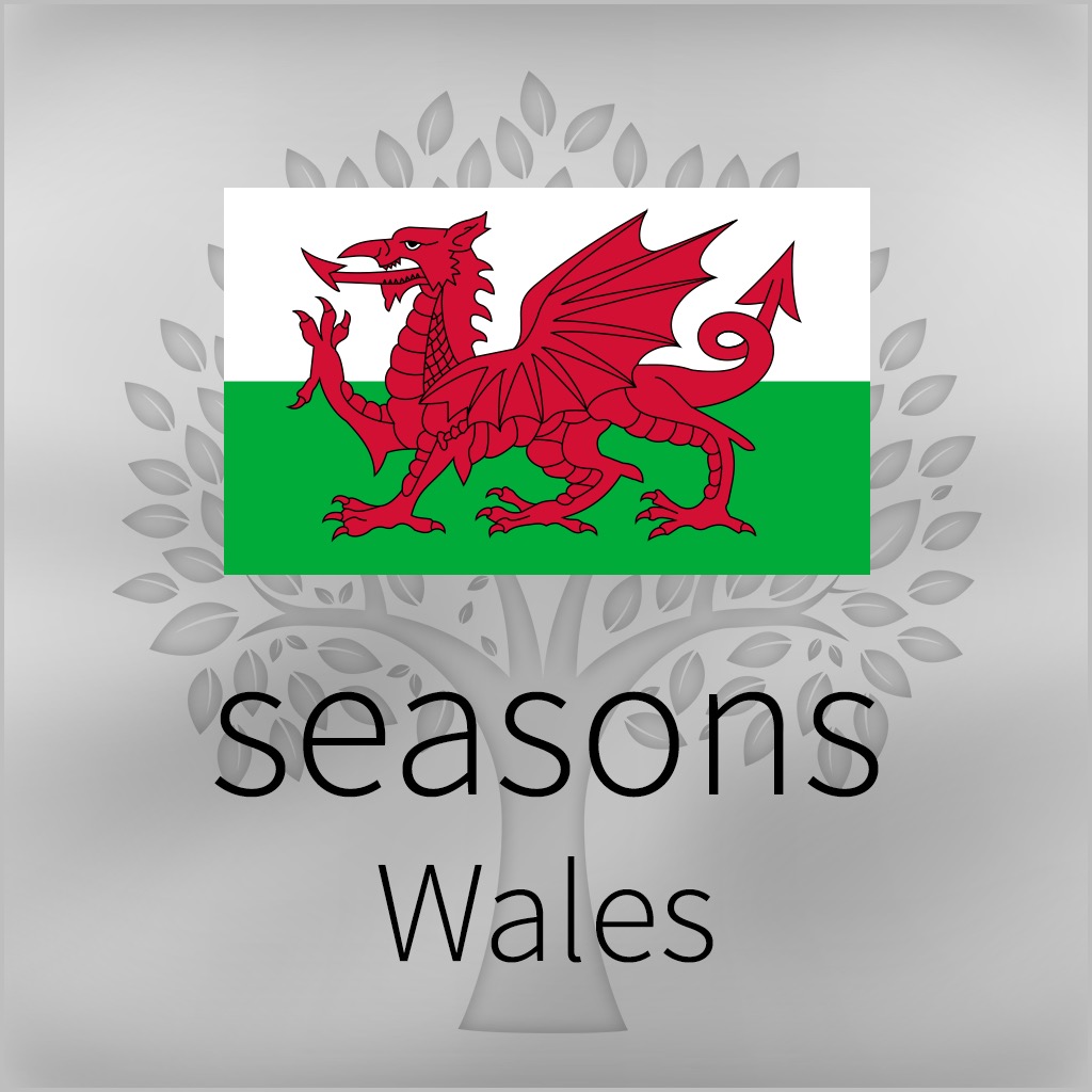 GEO: Wales icon